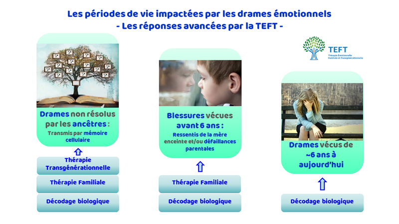 THERAPIE EMOTIONNELLE FAMILIALE ET TRANSGENERATIONNELLE